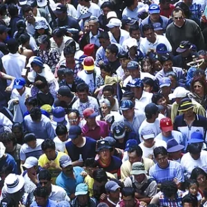 Educação, política e Sociedade